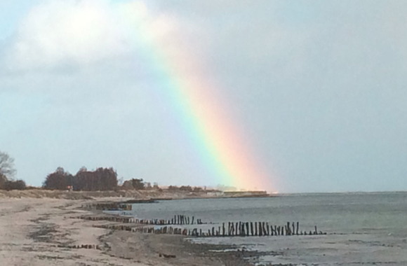 Regenbogen