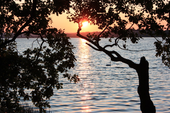 Sonnenuntergang.JPG